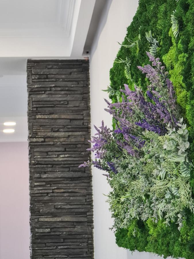Pensiunea Lavanda, Piatra-Neamt Piatra Neamţ Exterior foto