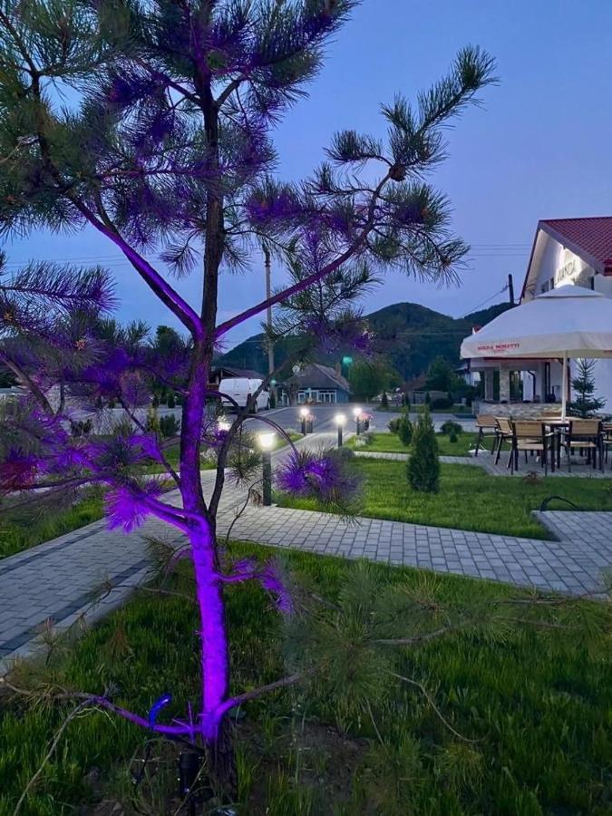 Pensiunea Lavanda, Piatra-Neamt Piatra Neamţ Exterior foto